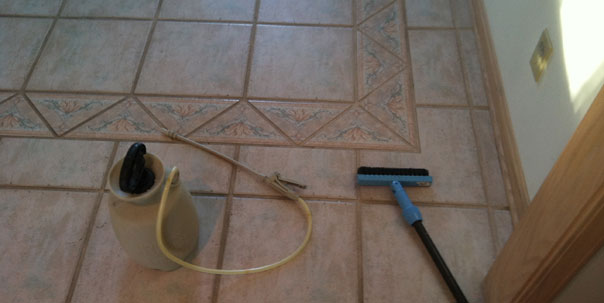 Tile and Grout Cleaning